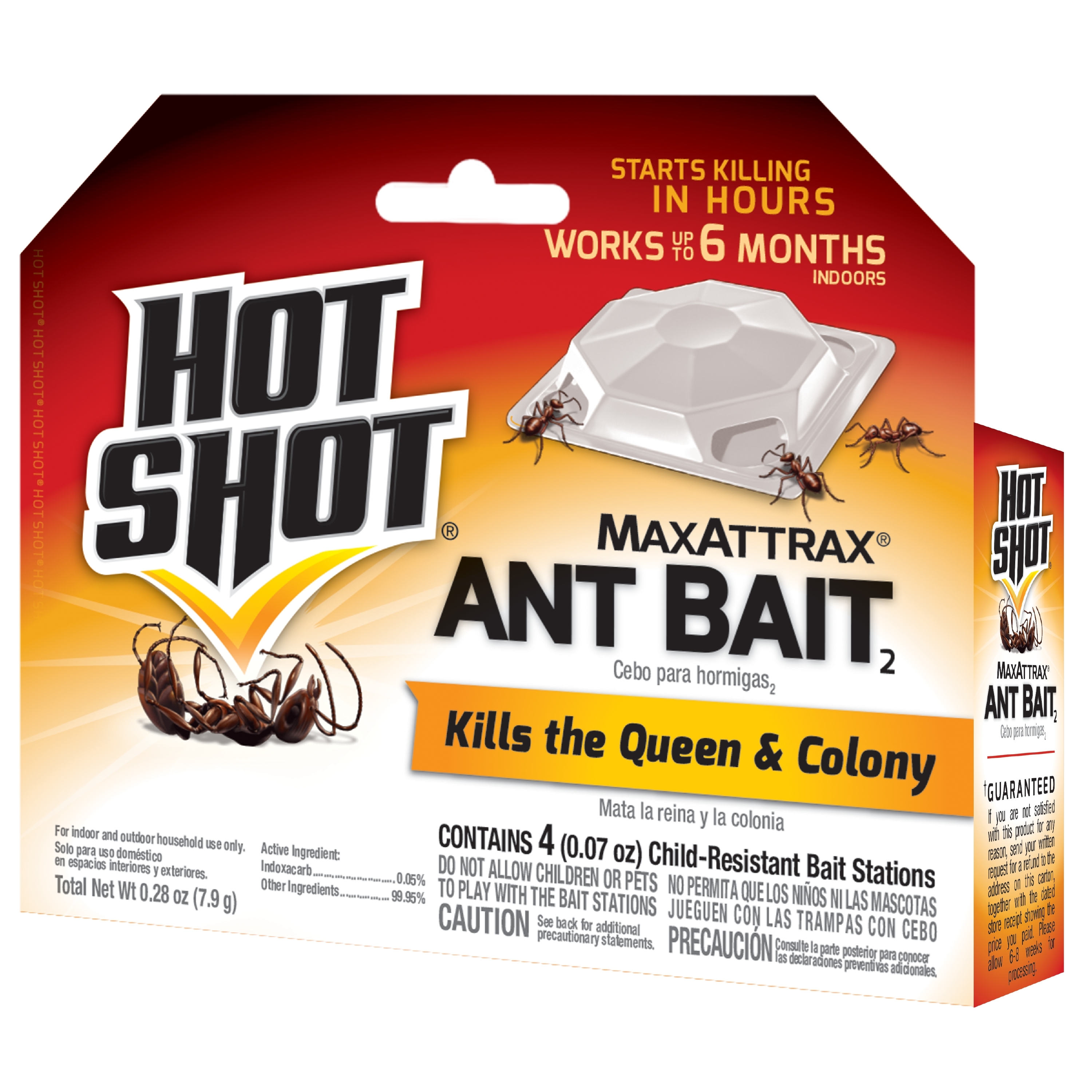 Hot shot max attract ant bait dog discount